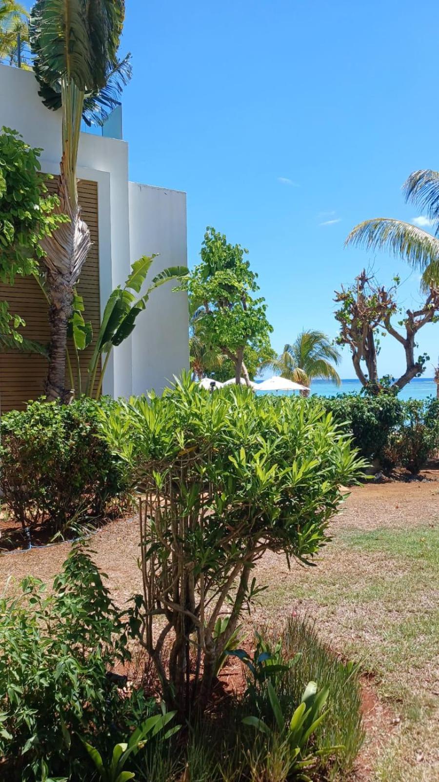 Cap Ouest Luxury Beachfront Flic en Flac Экстерьер фото